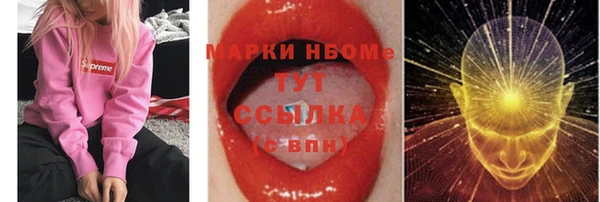 дмт Инта